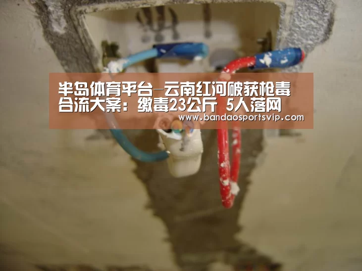 半岛体育