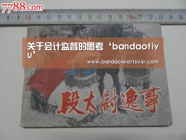 关于会计监督的思考‘bandaotiyu’(图2) 半岛体育平台