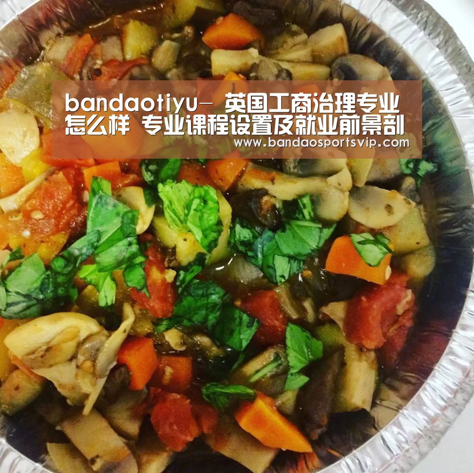 bandaotiyu-
英国工商治理专业怎么样 专业课程设置及就业前景剖析(图1) 半岛体育官网