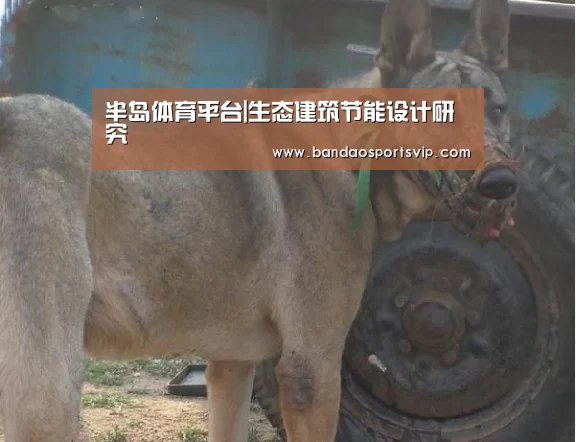 半岛体育平台|生态建筑节能设计研究(图4) 半岛体育平台|生态建筑节能设计研究(图4)