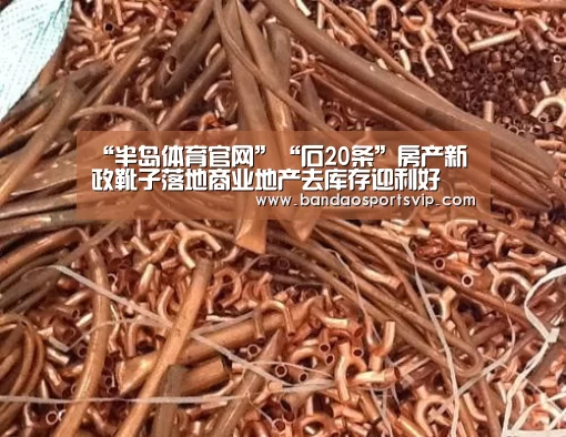 半岛体育平台