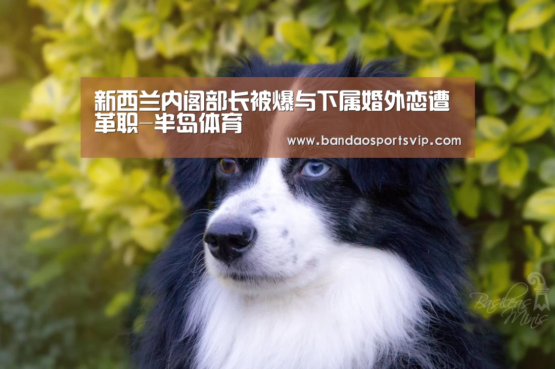新西兰内阁部长被爆与下属婚外恋遭革职-半岛体育(图3) 新西兰内阁部长被爆与下属婚外恋遭革职-半岛体育(图3)
