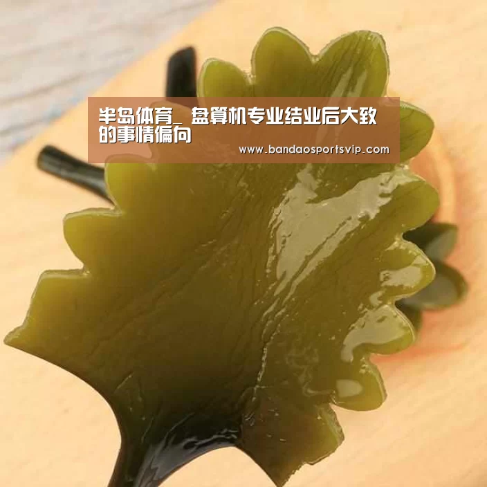 半岛体育_
盘算机专业结业后大致的事情偏向(图1) 半岛体育平台