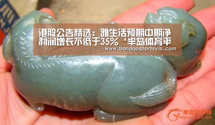 港股公告精选:雅生活预期中期净利润增长不低于35%‘半岛体育平台’(图2) 半岛体育平台