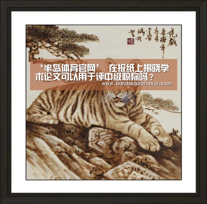 ‘半岛体育官网’
在报纸上揭晓学术论文可以用于评中级职称吗?(图2) 半岛体育平台