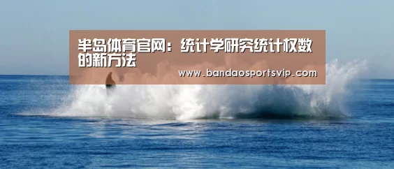 半岛体育官网:统计学研究统计权数的新方法(图4) 半岛体育官网:统计学研究统计权数的新方法(图4)